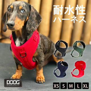 DOOG ( ドゥーグ ) ネオスポーツ ハーネス 犬用ハーネス ネオプレン アウトドア犬用ハーネス 調節可能な犬用ハーネス 軽量犬用ハーネス 耐久性 犬用スポーツハーネス 小型犬 中型犬 大型犬 耐水 速乾 ハーネス