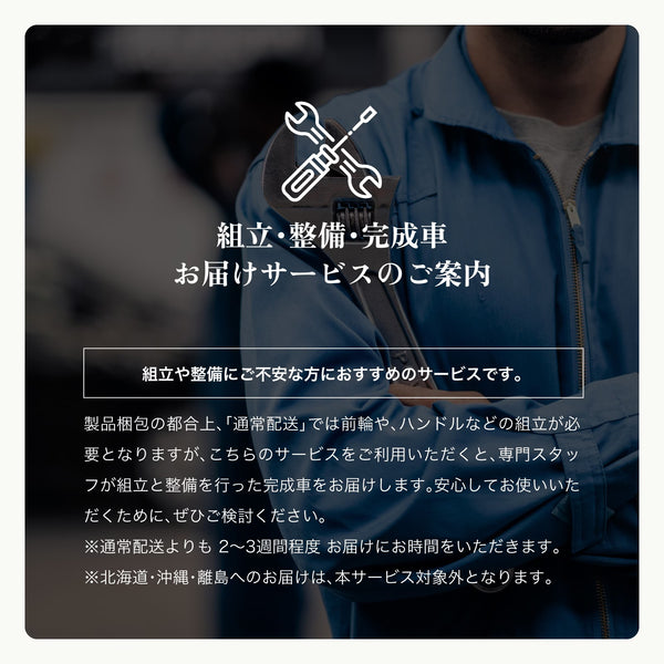 EVEREST XING CITY | 特定小型原動機付自転車 | 数量限定 | リアキャリア付き | 特定小型 | 防水 | 快適 | 通勤 | 通学 | ペダルなし | 電動モビリティ | 快適 | パワフル | エベレスト