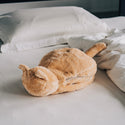 Life on Products ( ライフオンプロダクツ ) 蓄熱式 ねこ湯たんぽ | LCAWA004 | あったか | 防寒 | 寒さ対策 | 猫 | ネコ | ふわふわ | 冷めにくい | 冬 | おすすめ | ギフト | プレゼント | コードレス | 乾燥対策 | ネコ好き