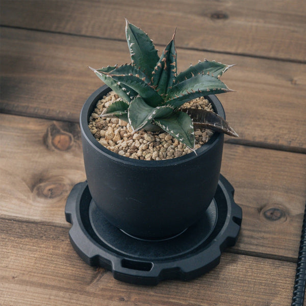 MIGRATRAIL ( ミグラトレイル ) VARIANT STAND バリアントスタンド | 薪割り | アウトドア用品 | アウトドア | キャンプ | キャンプ用品 | ブラック | シンプル | 薪割りスタンド | G6403 | みぐらとれいる