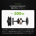 EVEREST XING CITY+ 電動アシスト自転車 20インチ 子供乗せ対応 通勤 通学 型式認定取得済み 電動自転車 ママにオススメ