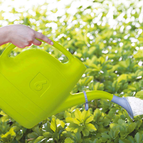 DETAIL ( ディテール ) Albatoross 6 Watering Cans 6050ml アルバトロス 6 ウォータリングカンズ 6050ml | ジョウロ | じょうろ | ガーデニング | 水やり | H0116 | でぃてーる | 大容量