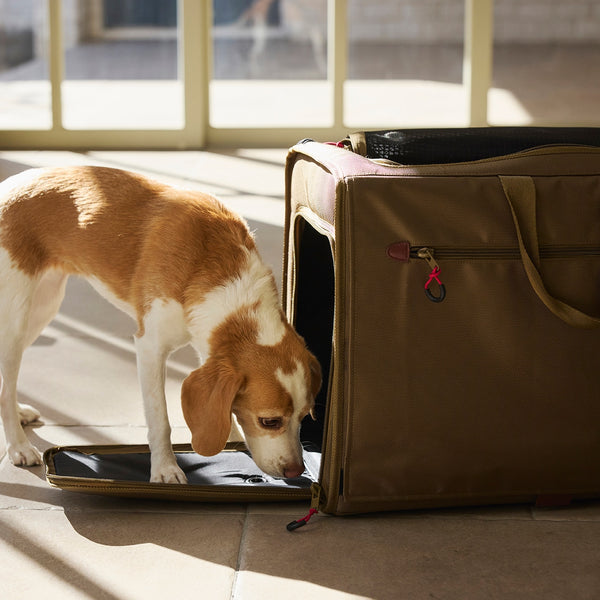 MANDARINE BROTHERS ( マンダリンブラザーズ ) BRIXTON CARRY BACKPACK －WIDE－| ペット | 犬 | 犬用品 | 外出 | リュック | 愛犬 | ダブルメッシュ | 旅行 | 15kg