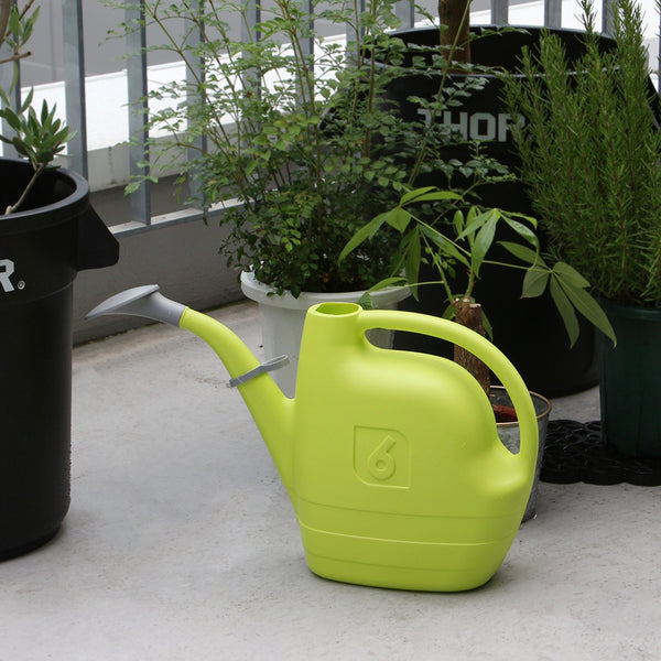 DETAIL ( ディテール ) Albatoross 6 Watering Cans 6050ml アルバトロス 6 ウォータリングカンズ 6050ml | ジョウロ | じょうろ | ガーデニング | 水やり | H0116 | でぃてーる | 大容量