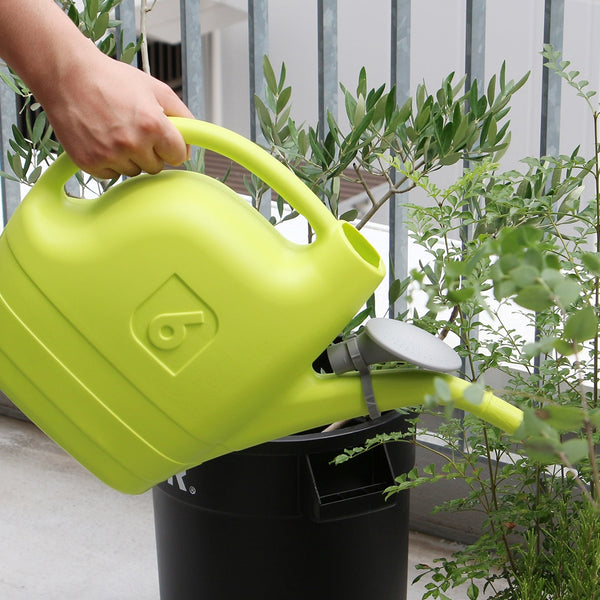 DETAIL ( ディテール ) Albatoross 6 Watering Cans 6050ml アルバトロス 6 ウォータリングカンズ 6050ml | ジョウロ | じょうろ | ガーデニング | 水やり | H0116 | でぃてーる | 大容量
