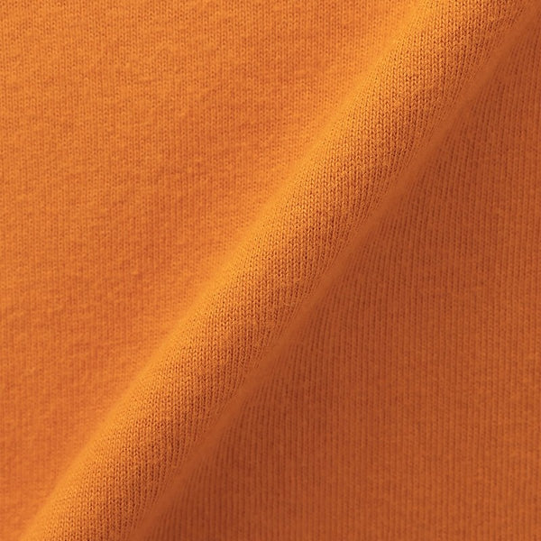 CHUMS ( チャムス ) アカアシサカバブラッシュドロングスリーブTシャツ 長袖Tシャツ ロンT メンズ レディース オーバーサイズ カジュアル アウトドア キャンプ トップス コットン 綿100% ブービーバード アカアシサカバ 秋冬 春 トレーナー