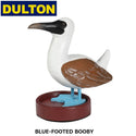 DULTON ( ダルトン ) スタンド オーガナイザー | ペリカン | ブルー フッテッド ブービー | アオアシカツオドリ | インテリア | メガネ置き | ハンドメイド | RN-1149O | 可愛い | 置物 | だるとん