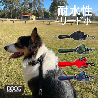 DOOG ( ドゥーグ ) ネオスポーツ ドッグリードS 犬用リード ネオプレン 軽量リード 耐水性 速乾性 アウトドア おしゃれ 犬 小型 犬用ハーネス取り付け 犬 耐水 速乾 リード ドッグリード