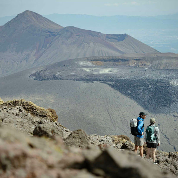 MILLET ( ミレー ) パルマラン 25 | リュック | リュックサック | バックパック | 登山 | トレッキング | 軽い | 軽量 | 収納性 | 耐久性 | みれー | MIS01302-N6365 | ロールトップ | クッション性 | 耐久性