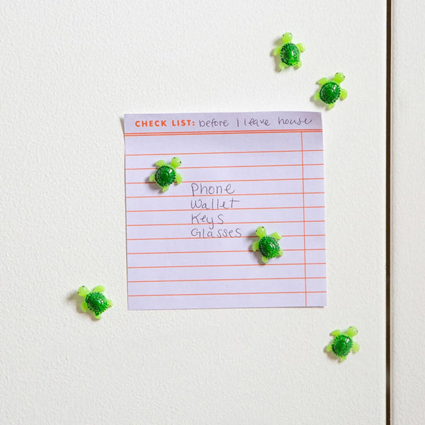 KIKKERLAND ( キッカーランド ) Baby Turtle Magnets ベイビータートルマグネット KMG97 ウミガメ マグネット 磁石 6個セット 冷蔵庫 ホワイトボード オフィス インテリア雑貨 おしゃれ ギフト プレゼント