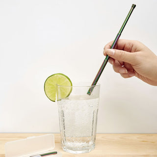 KIKKERLAND ( キッカーランド ) Iridescent Travel Straw Set イリデセント トラベルストローセット | 持ち運び用ストロー | ストロー | アウトドア | キャンプ | ピクニック | ステンレス | 環境にやさしい | KCU297 | きっかーらんど