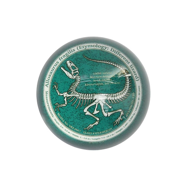 DULTON ( ダルトン ) GLASS PAPERWEIGHT ガラス ペーパーウェイト | 半球型 | インテリア | 恐竜 | プレゼント | 雑貨 | だるとん | NBZ-0907 | 文具 | 文房具