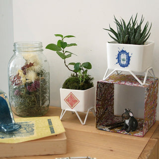 DETAIL ( ディテール ) Plant Pot w/stand 60 プラントポット w スタンド 60 | 小さな植木鉢 | 植木鉢 | 小さい | 小さめ | プランター | 磁器 | コンパクト | オシャレ | H008660 | でぃてーる | グリーン | レッド