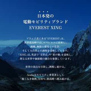 EVEREST XING CITY+ 電動アシスト自転車 20インチ 子供乗せ対応 通勤 通学 型式認定取得済み 電動自転車 ママにオススメ