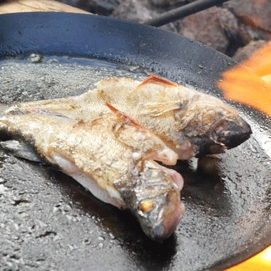 Bush Craft ( ブッシュクラフト ) たき火フライパン | キャンプ | 料理 | 調理 | アウトドア | フライパン | 調理器具 | シンプル | かっこいい | 焚火 | 焚き火 | ハンドル調整 | 22893 | ぶっしゅくらふと