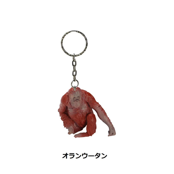 DETAIL ( ディテール ) Animal Keyring アニマルキーリング | 動物 | キーホルダー | キリン | ラクダ | ゾウ | ミーアキャット | オランウータン | ブラキオサウルス | 恐竜 | トリケラトプス | ティラノサウルス | ステゴサウルス | スマトラトラ