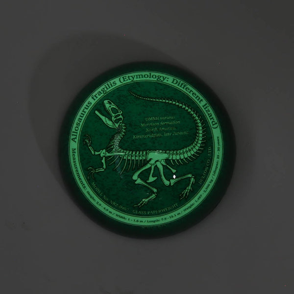 DULTON ( ダルトン ) GLASS PAPERWEIGHT ガラス ペーパーウェイト | 半球型 | インテリア | 恐竜 | プレゼント | 雑貨 | だるとん | NBZ-0907 | 文具 | 文房具
