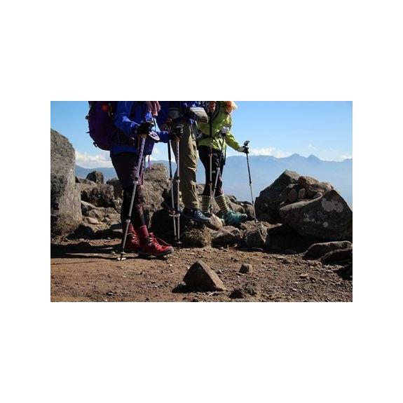 【 SALE 】 Caravan ( キャラバン ) C1-02S シューズ トレッキングシューズ ハイカット | レッド | 赤色 | アウトドア | キャンプ | 登山 | ハイキング | トレッキング