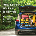 特定小型原付モデル 電動キックボード RICHBIT ES1 Pro  公道走行可能 RICHBIT リッチビット