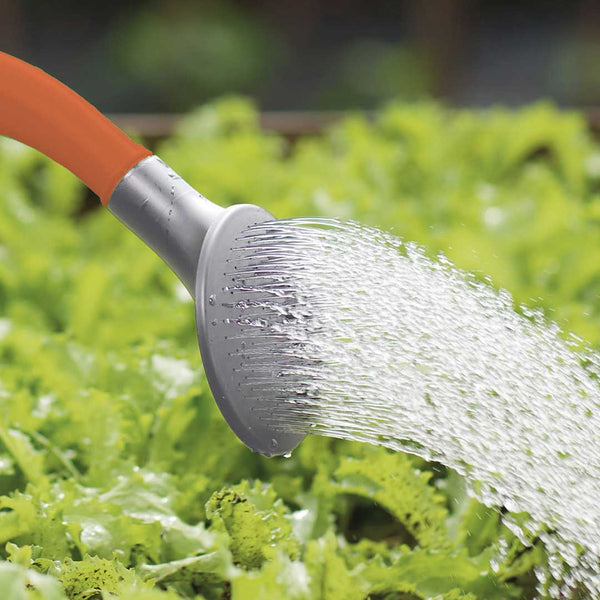 DETAIL ( ディテール ) Albatoross 6 Watering Cans 6050ml アルバトロス 6 ウォータリングカンズ 6050ml | ジョウロ | じょうろ | ガーデニング | 水やり | H0116 | でぃてーる | 大容量