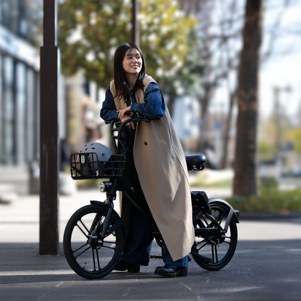 EVEREST XING CITY+ 電動アシスト自転車 20インチ 子供乗せ対応 通勤 通学 型式認定取得済み 電動自転車 ママにオススメ