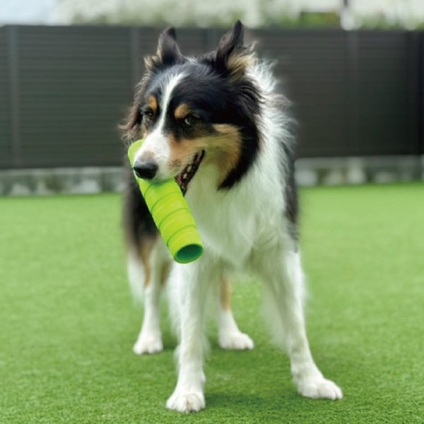 PLATZ ( プラッツ ) JOYSER ホールスティック | ペット | イヌ | 犬 | ストレス発散 | おもちゃ | 玩具 | 散歩 | ドッグラン | アウトドア | お出かけ | レジャー | キャンプ | 水に浮く | 音が鳴る | JS75385 | JS75386