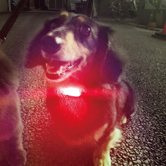 PLATZ ( プラッツ ) ハイパーブリンカーズEX | ペット | イヌ | 犬 | 散歩 | 散歩グッズ | 光る | 引っ掛けるだけ | LEDライト | 可愛い | 雨でもOK | コンパクト | 簡単取付 | 軽い | 軽量 | AX10069