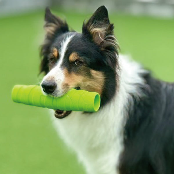 PLATZ ( プラッツ ) JOYSER ホールスティック | ペット | イヌ | 犬 | ストレス発散 | おもちゃ | 玩具 | 散歩 | ドッグラン | アウトドア | お出かけ | レジャー | キャンプ | 水に浮く | 音が鳴る | JS75385 | JS75386