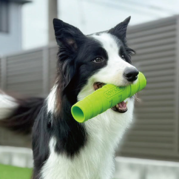 PLATZ ( プラッツ ) JOYSER ホールスティック | ペット | イヌ | 犬 | ストレス発散 | おもちゃ | 玩具 | 散歩 | ドッグラン | アウトドア | お出かけ | レジャー | キャンプ | 水に浮く | 音が鳴る | JS75385 | JS75386