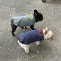 KFM × FIELDOG  裏起毛 ドッグフードパーカー | 犬用パーカー | ドッグウエア