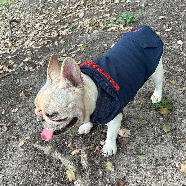 KFM × FIELDOG  裏起毛 ドッグフードパーカー | 犬用パーカー | ドッグウエア