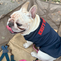 KFM × FIELDOG  裏起毛 ドッグフードパーカー | 犬用パーカー | ドッグウエア