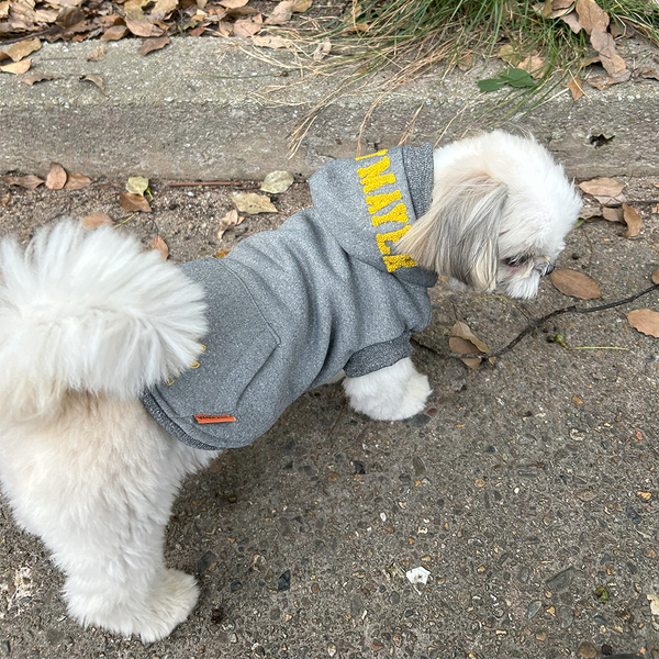 KFM × FIELDOG  裏起毛 ドッグフードパーカー | 犬用パーカー | ドッグウエア