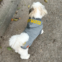 KFM × FIELDOG  裏起毛 ドッグフードパーカー | 犬用パーカー | ドッグウエア