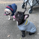 KFM × FIELDOG  裏起毛 ドッグフードパーカー | 犬用パーカー | ドッグウエア
