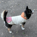 KFM × FIELDOG  裏起毛 ドッグフードパーカー | 犬用パーカー | ドッグウエア