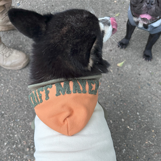 KFM × FIELDOG  裏起毛 ドッグフードパーカー | 犬用パーカー | ドッグウエア | フィールドッグ | クリフメイヤー