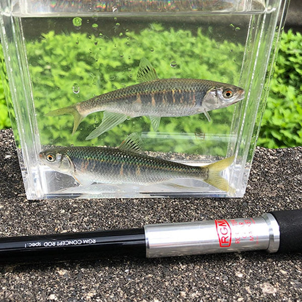 RGM spec.1 / 270＋ Ready to Fish! spec.1 /270 セット