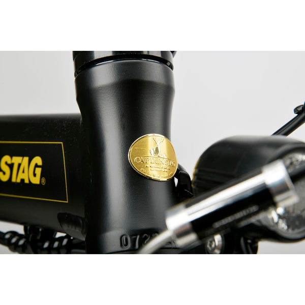 CAPTAIN STAG ( キャプテンスタッグ ) eリライト電動FDB141 ( ブラック / ゴールド ) 電動アシスト自転車 | 自転車 | 14インチ | アウトドア | レジャー | 電動自転車 | アシスト自転車 | 通勤 | 通学 | YG-1576 | かっこいい | きゃぷてんすたっぐ